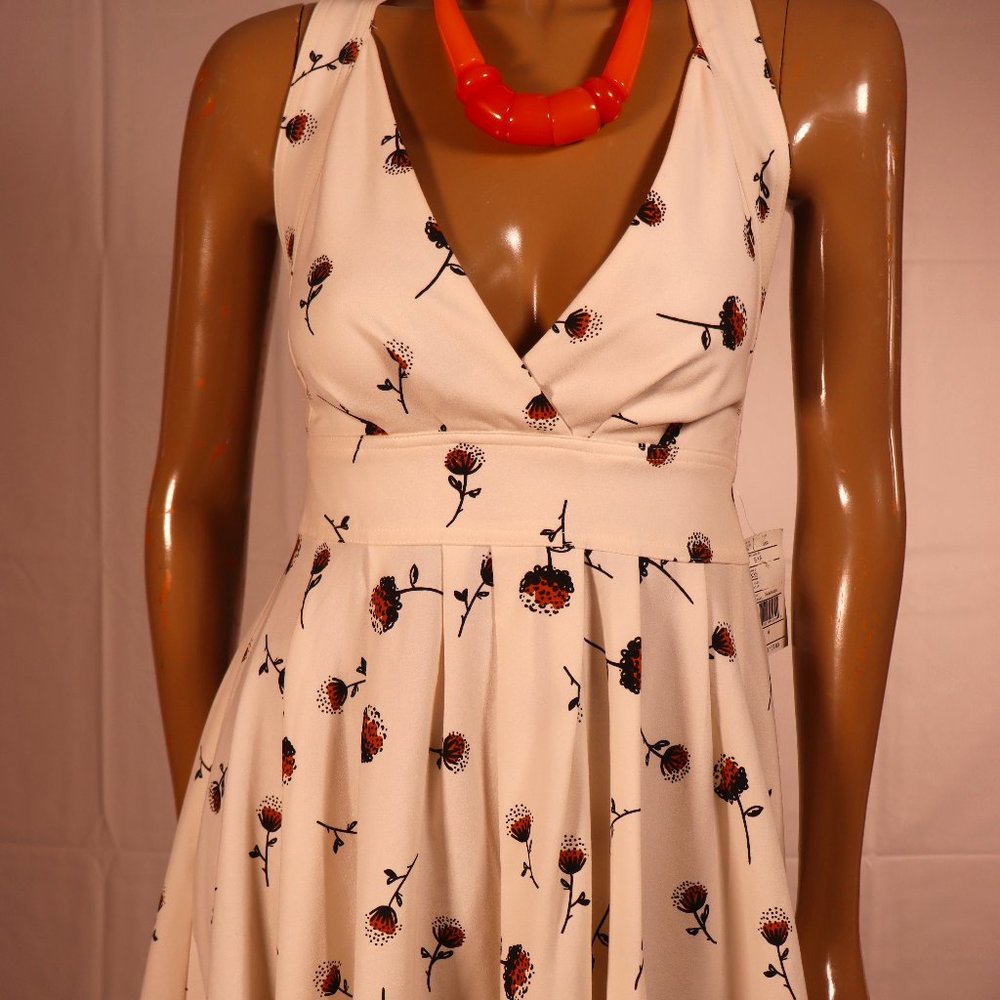Free People Summer Dandelion Dress Size 4